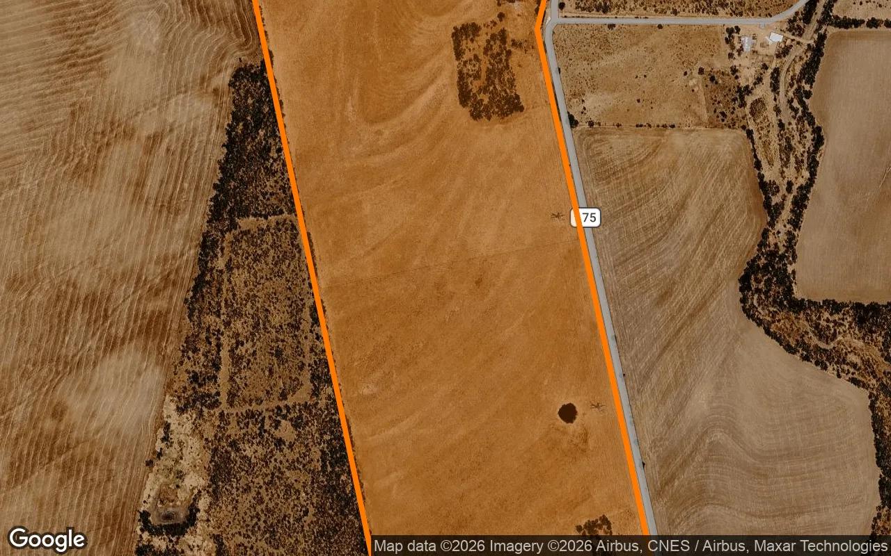 Decorative background for 124.86 Acres in Runnels - Runnels County, TX image 6