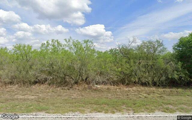 125.55 Acres in Realitos - Duval County, TX - Image 4