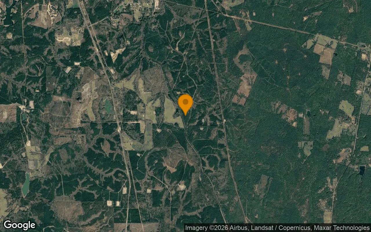 34.97 Acres in Center - Shelby County, TX - Image 3