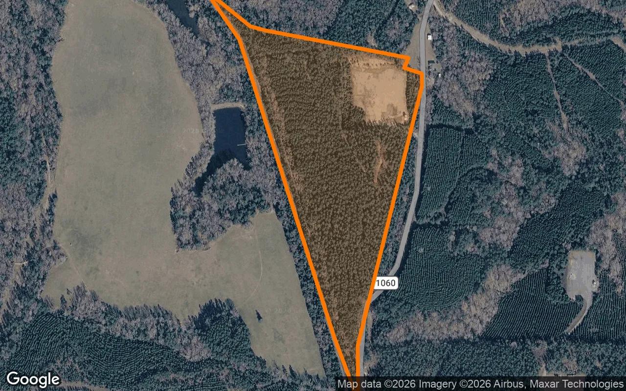 Decorative background for 34.97 Acres in Center - Shelby County, TX image 6