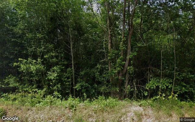 1.5 Acres in Tatum - Rusk County, TX - Image 4