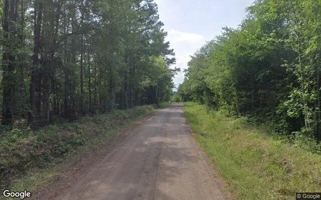 Decorative background for 1.5 Acres in Tatum - Rusk County, TX image 5