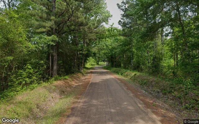 Decorative background for 1.5 Acres in Tatum - Rusk County, TX image 6
