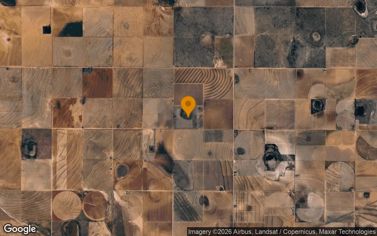 124.82 Acres in New Home - Lynn County, TX - Image 3