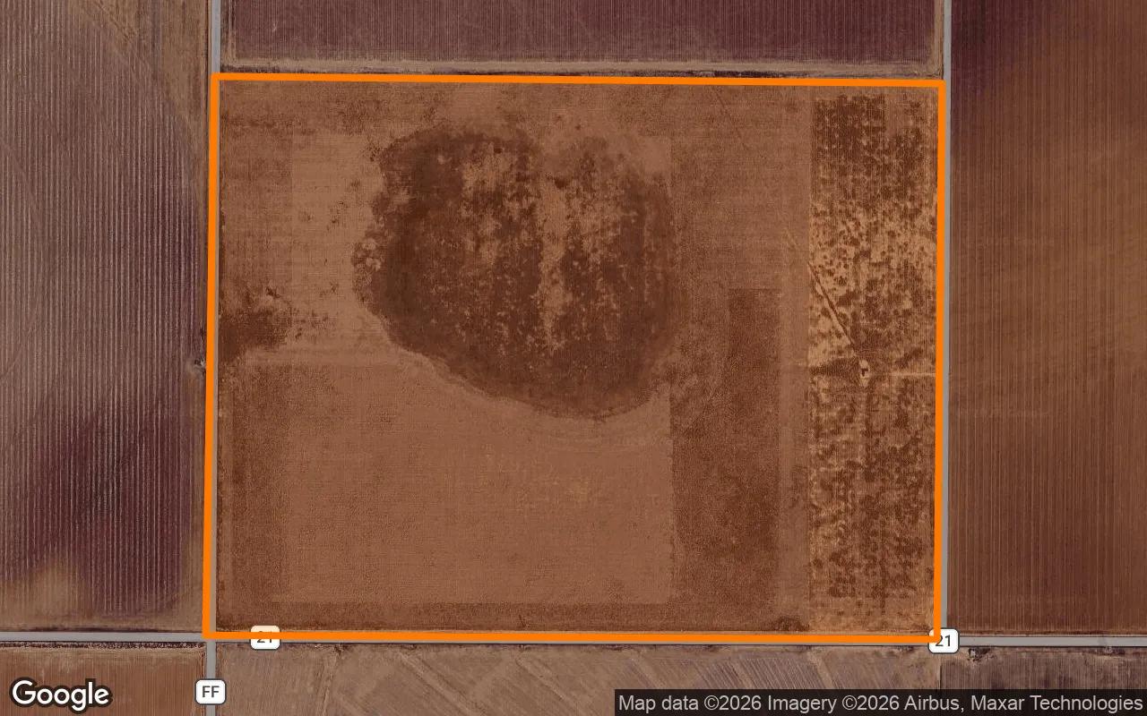 Decorative background for 124.82 Acres in New Home - Lynn County, TX image 6