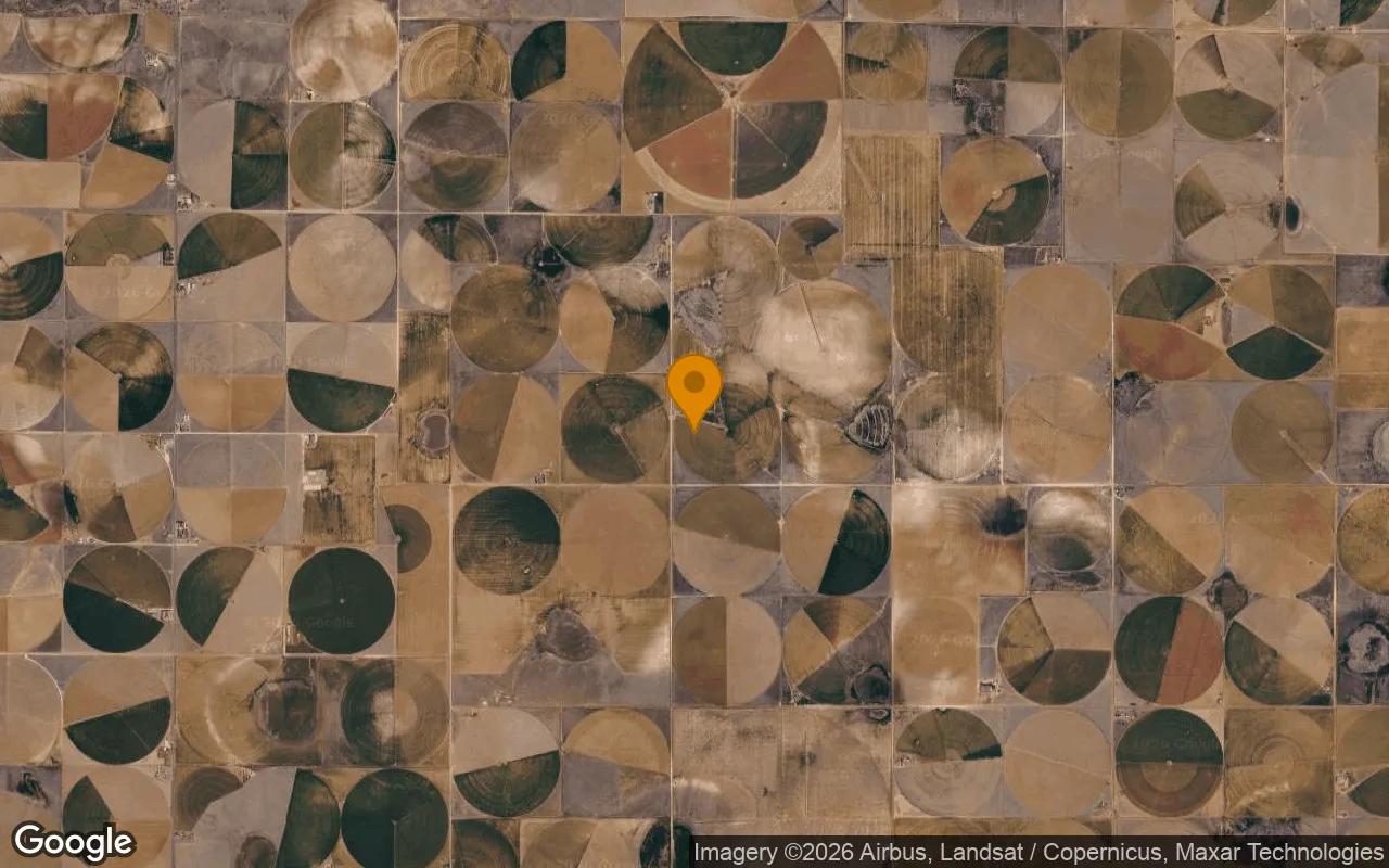 116.18 Acres in Lamb - Lamb County, TX - Image 3