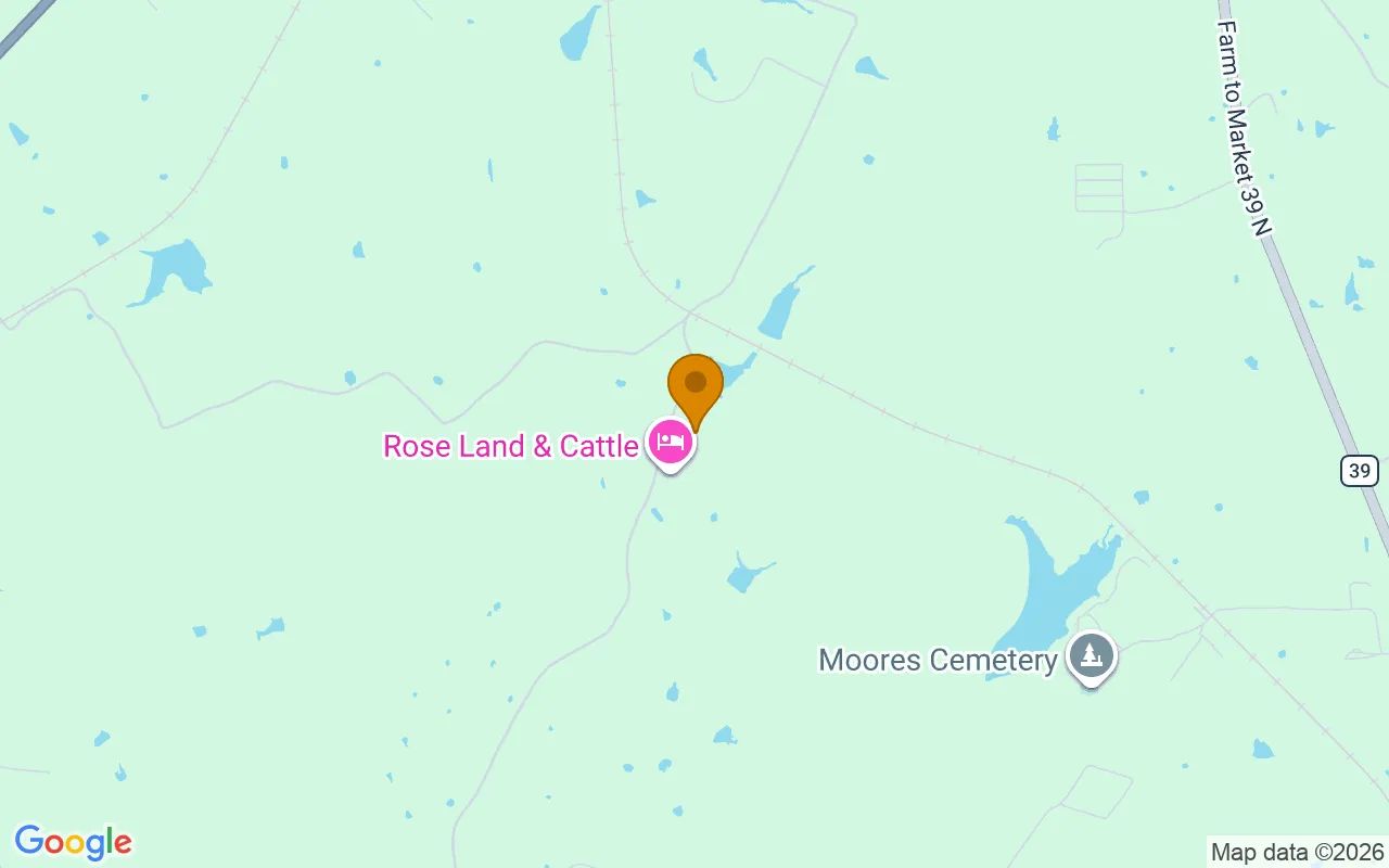 15.01 Acres in Jewett - Leon County, TX in Leon County, Texas