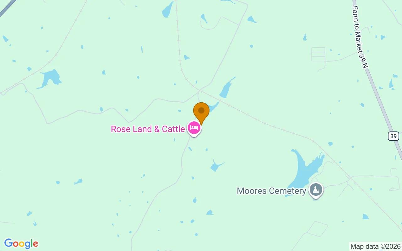 15.01 Acres in Jewett - Leon County, TX - Image 4