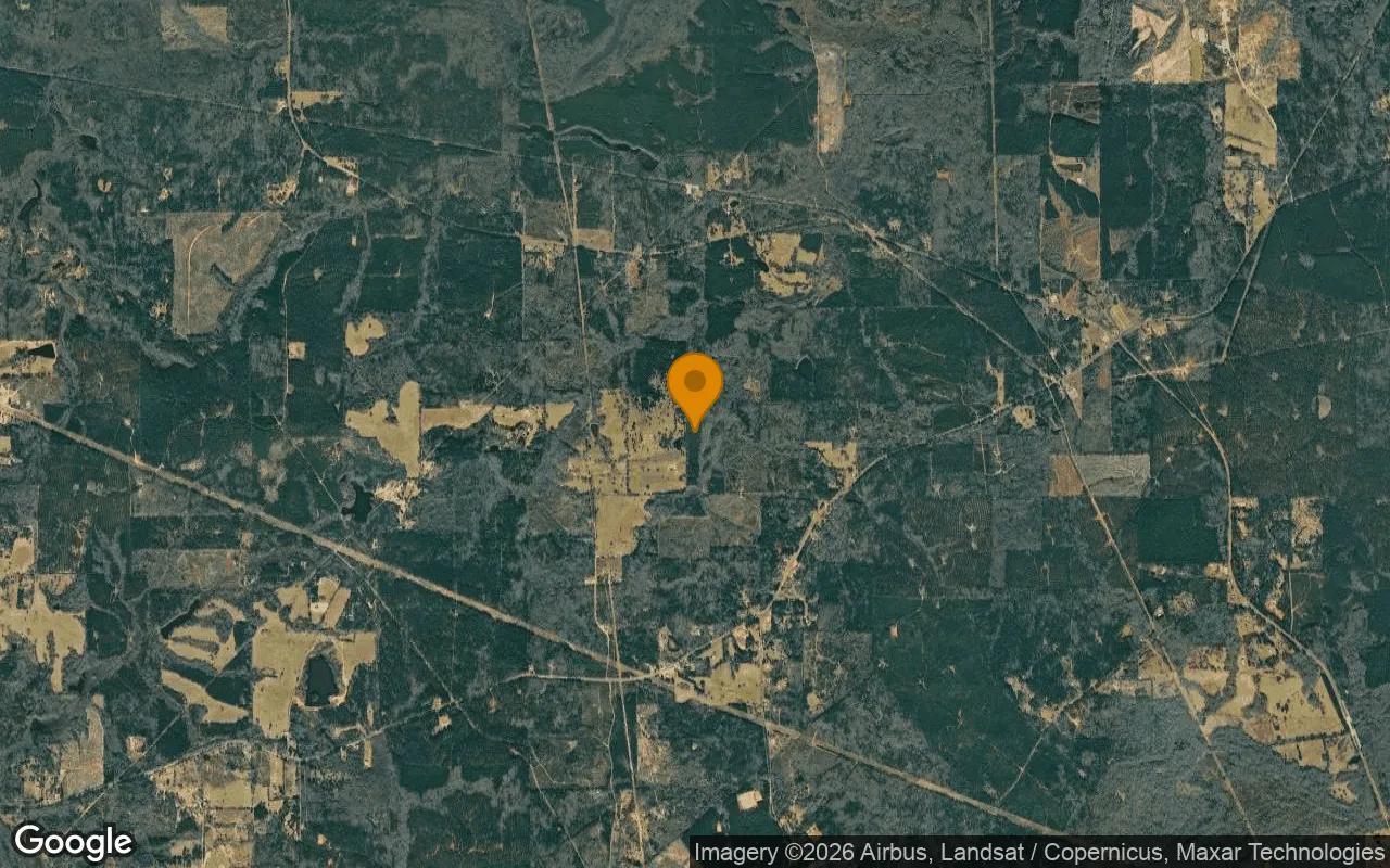 34.94 Acres in Jefferson - Marion County, TX - Image 3