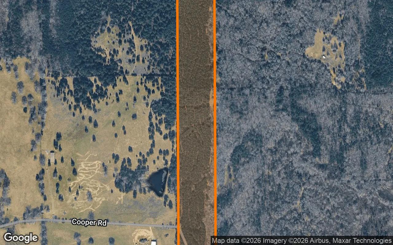 Decorative background for 34.94 Acres in Jefferson - Marion County, TX image 6