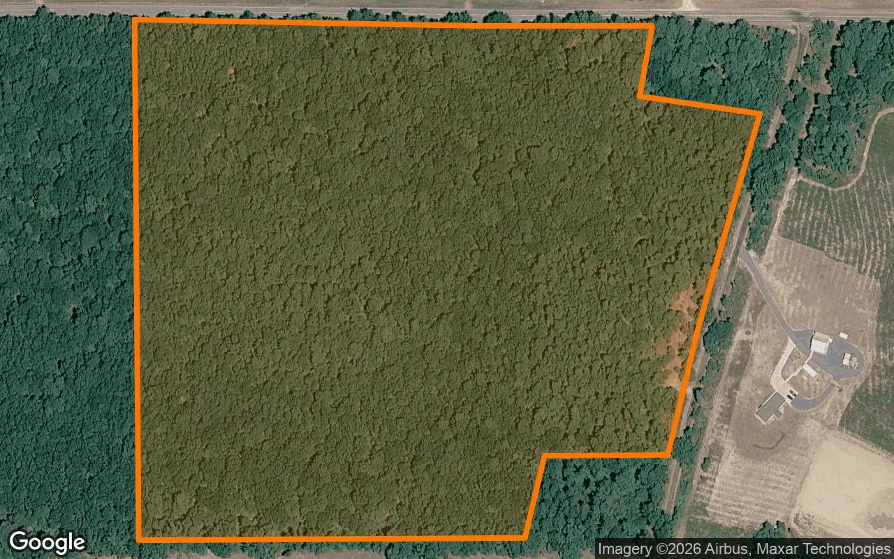 34.93 Acres in Atlanta - Cass County, TX - Main image