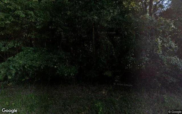 34.93 Acres in Atlanta - Cass County, TX - Image 4