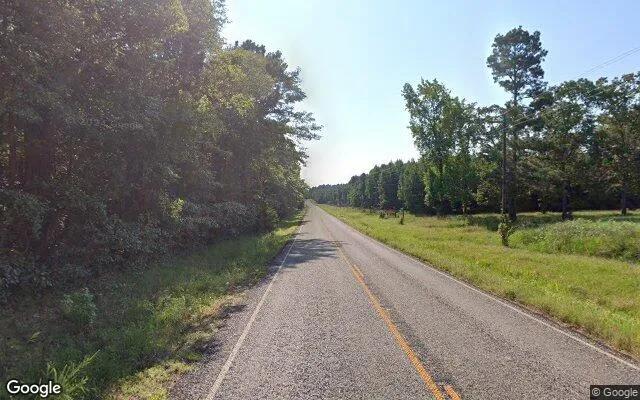 Decorative background for 34.93 Acres in Atlanta - Cass County, TX image 6