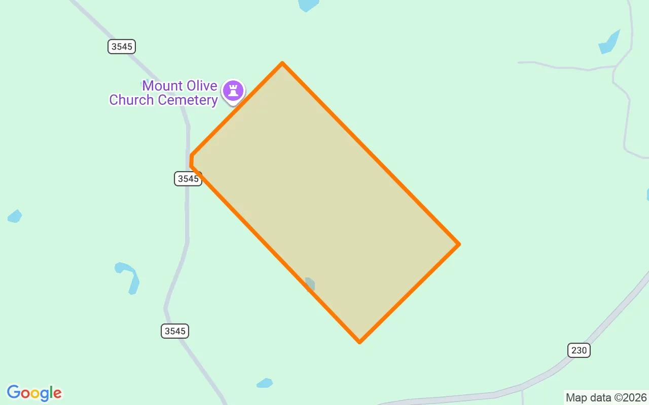 34.99 Acres in Lovelady - Houston County, TX - Image 2