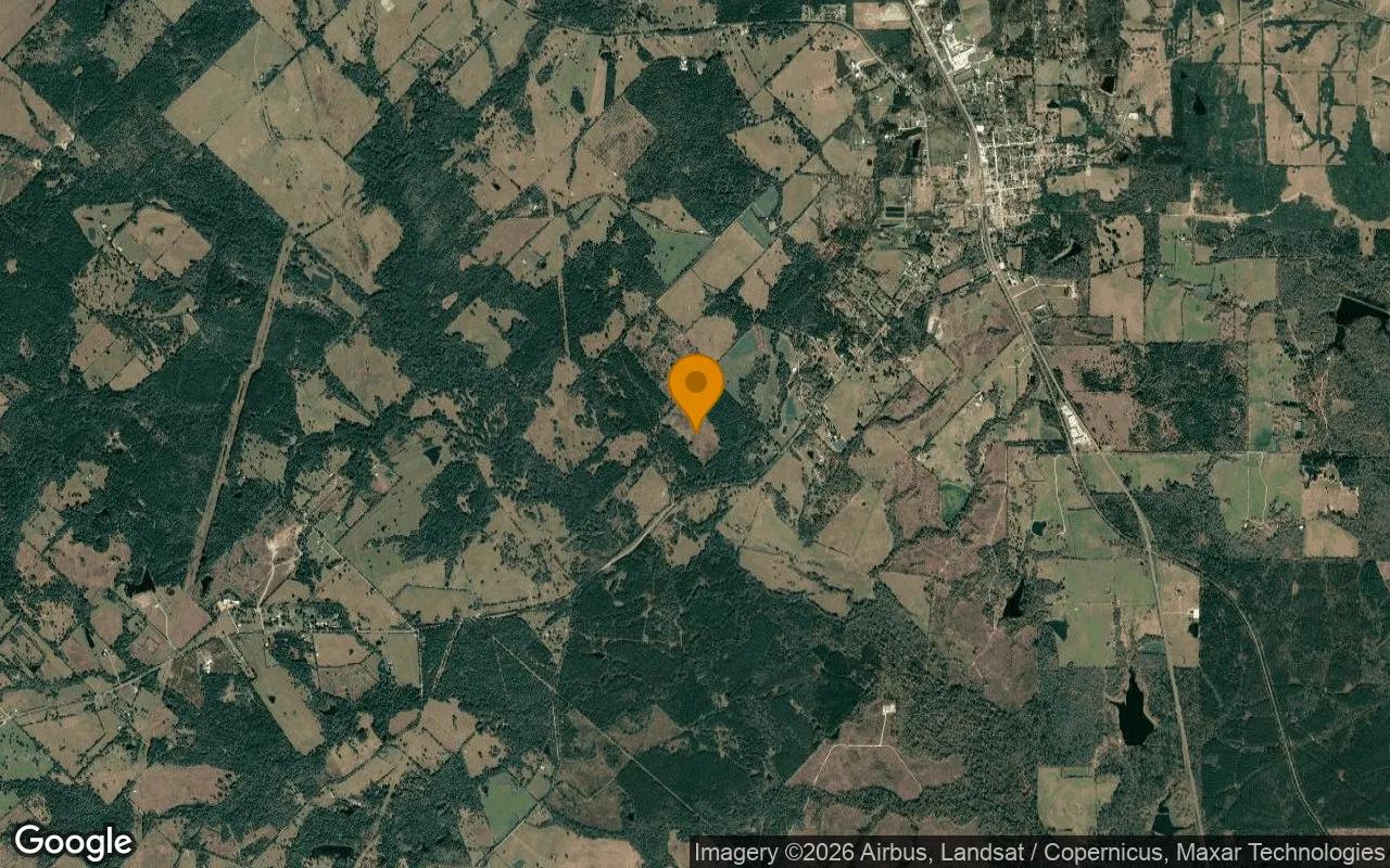 34.99 Acres in Lovelady - Houston County, TX - Image 3