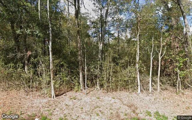 34.99 Acres in Lovelady - Houston County, TX - Image 4
