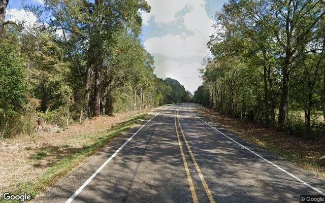 Decorative background for 34.99 Acres in Lovelady - Houston County, TX image 6