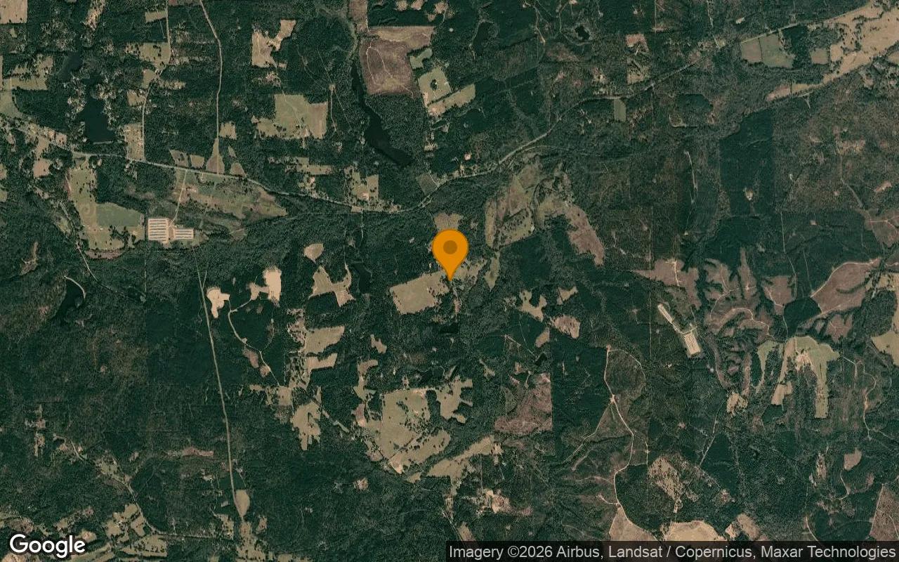 7.48 Acres in Palestine - Anderson County, TX - Image 3
