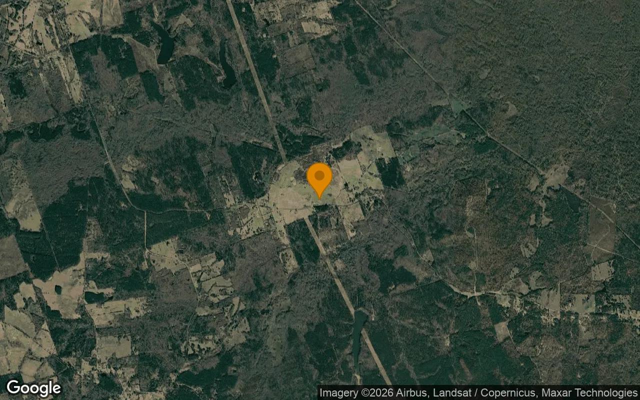 1.5 Acres in Pittsburg - Camp County, TX - Image 3