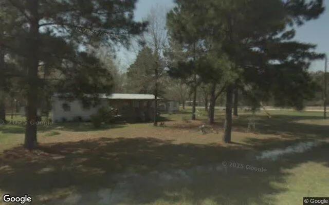Decorative background for 0.55 Acres in Livingston - Polk County, TX image 6