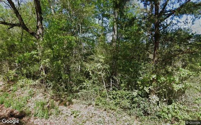 Decorative background for 15 Acres in Centerville - Leon County, TX image 6