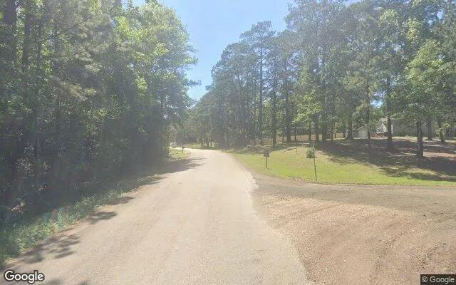 Decorative background for 0.55 Acres in Hemphill - Sabine County, TX image 6