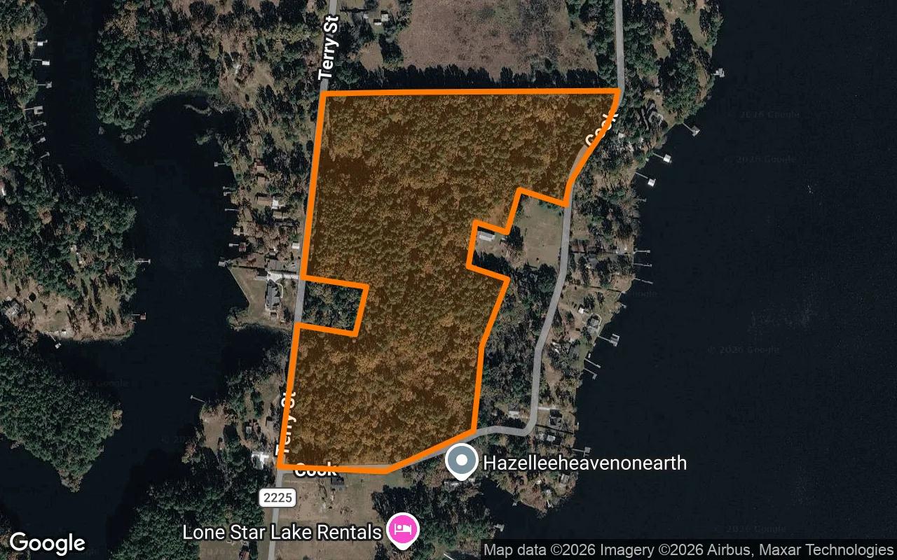 Decorative background for 35.04 Acres in Daingerfield - Morris County, TX image 6