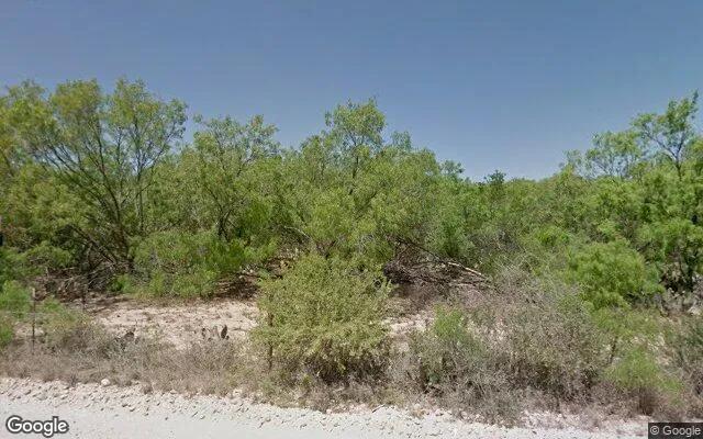 Decorative background for 3.51 Acres in Pearsall - Frio County, TX image 5