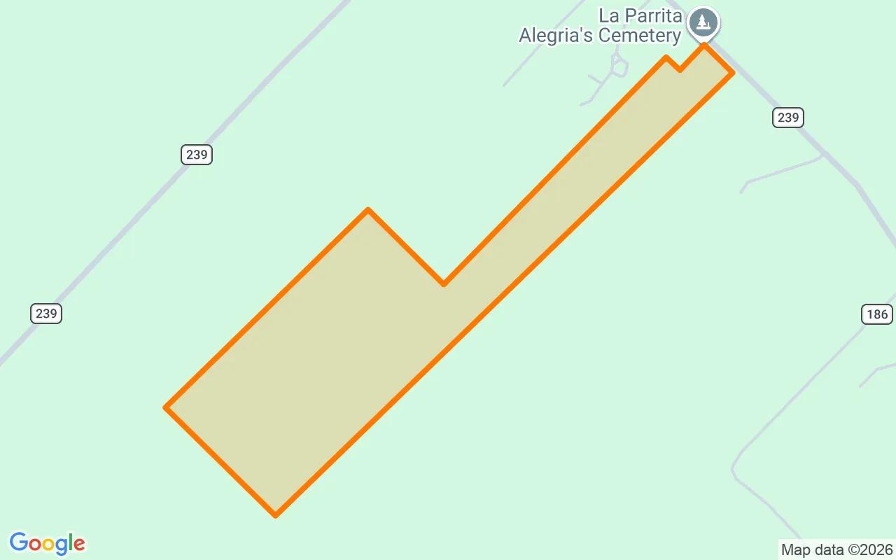 35.1 Acres in Orange Grove - Jim Wells County, TX - Image 2