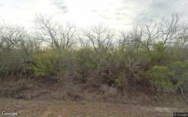 35.1 Acres in Orange Grove - Jim Wells County, TX - Image 4