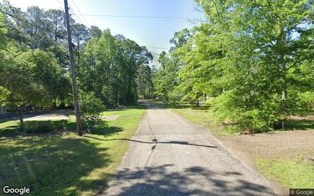 Decorative background for 0.55 Acres in Hemphill - Sabine County, TX image 6