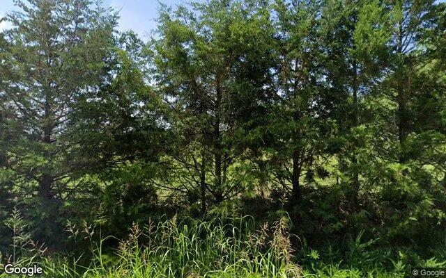 1.5 Acres in Lone Oak - Rains County, TX - Image 4