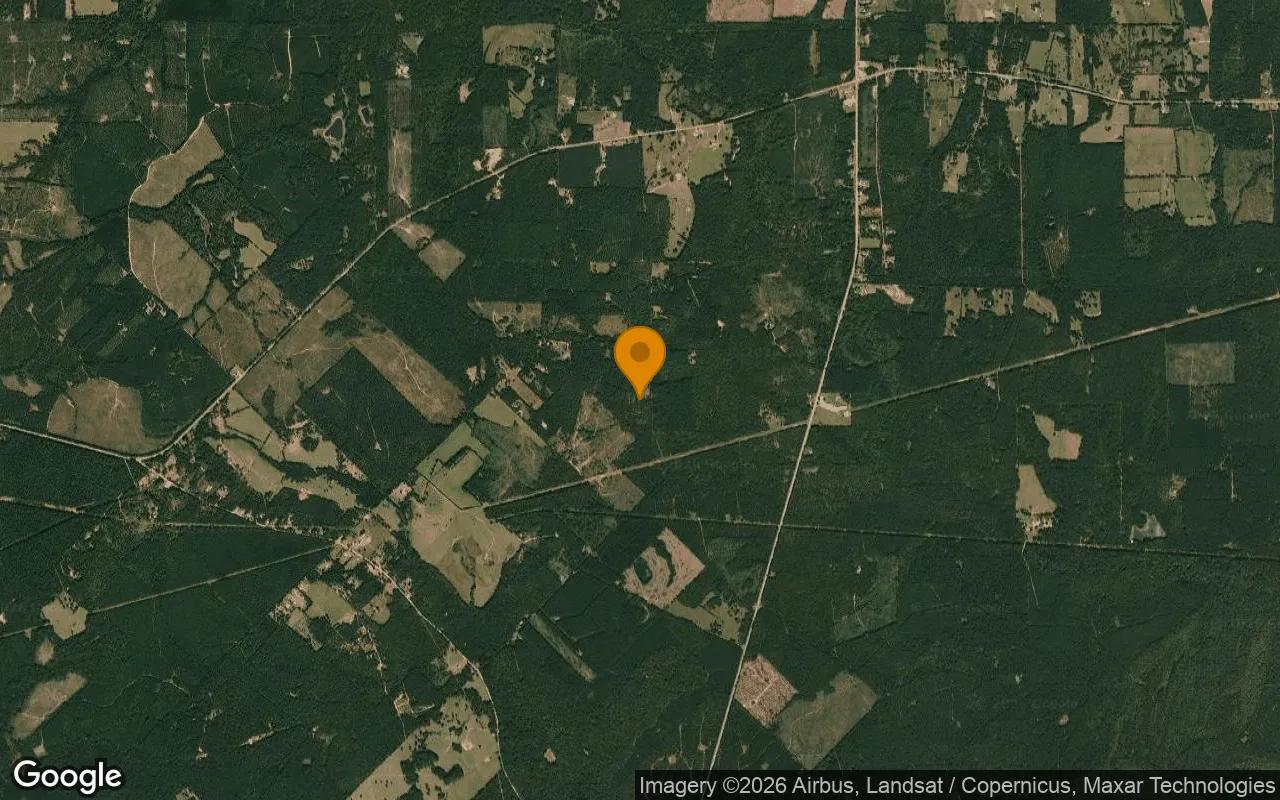 35.03 Acres in Jefferson - Marion County, TX - Image 3