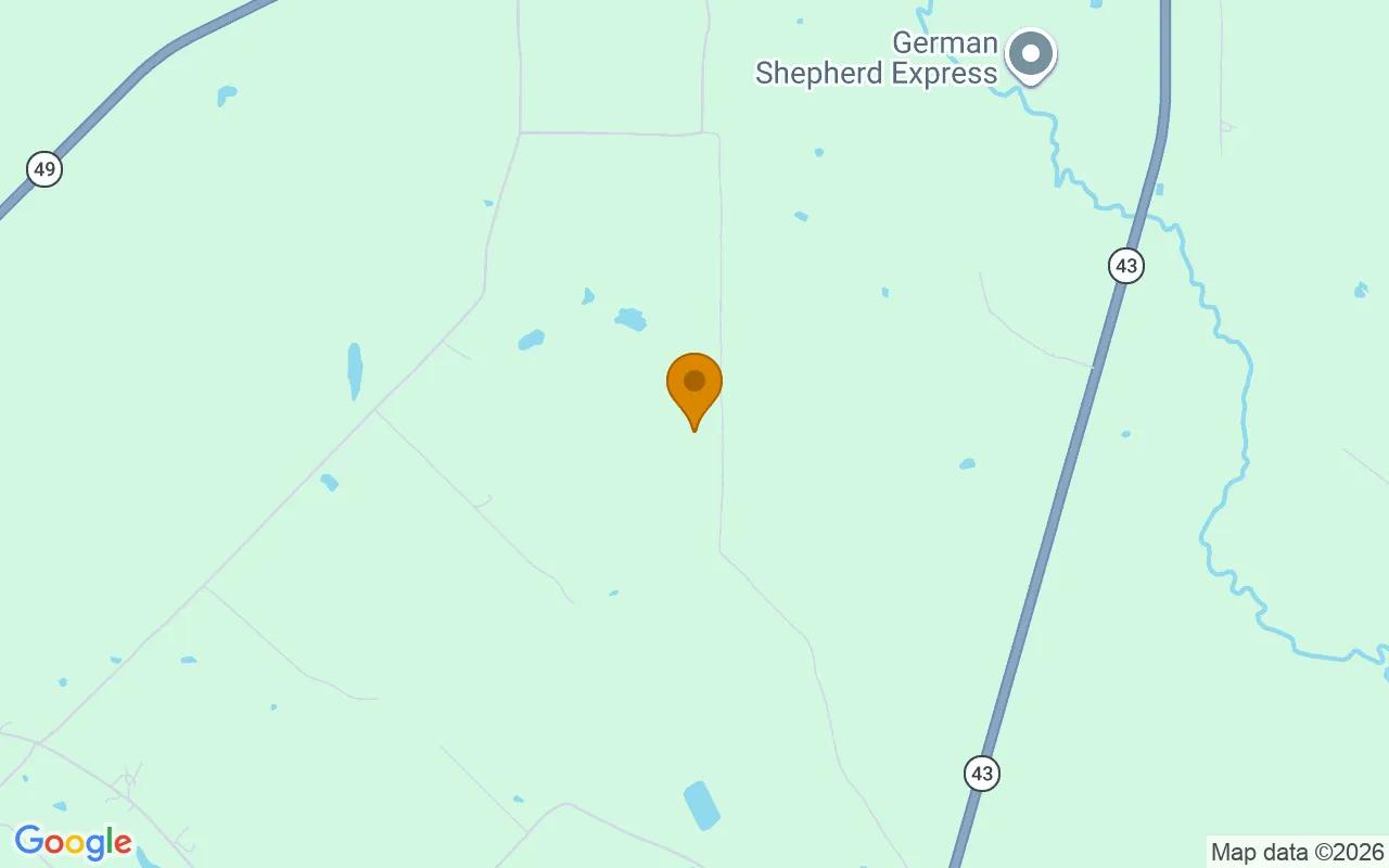 35.03 Acres in Jefferson - Marion County, TX - Image 4
