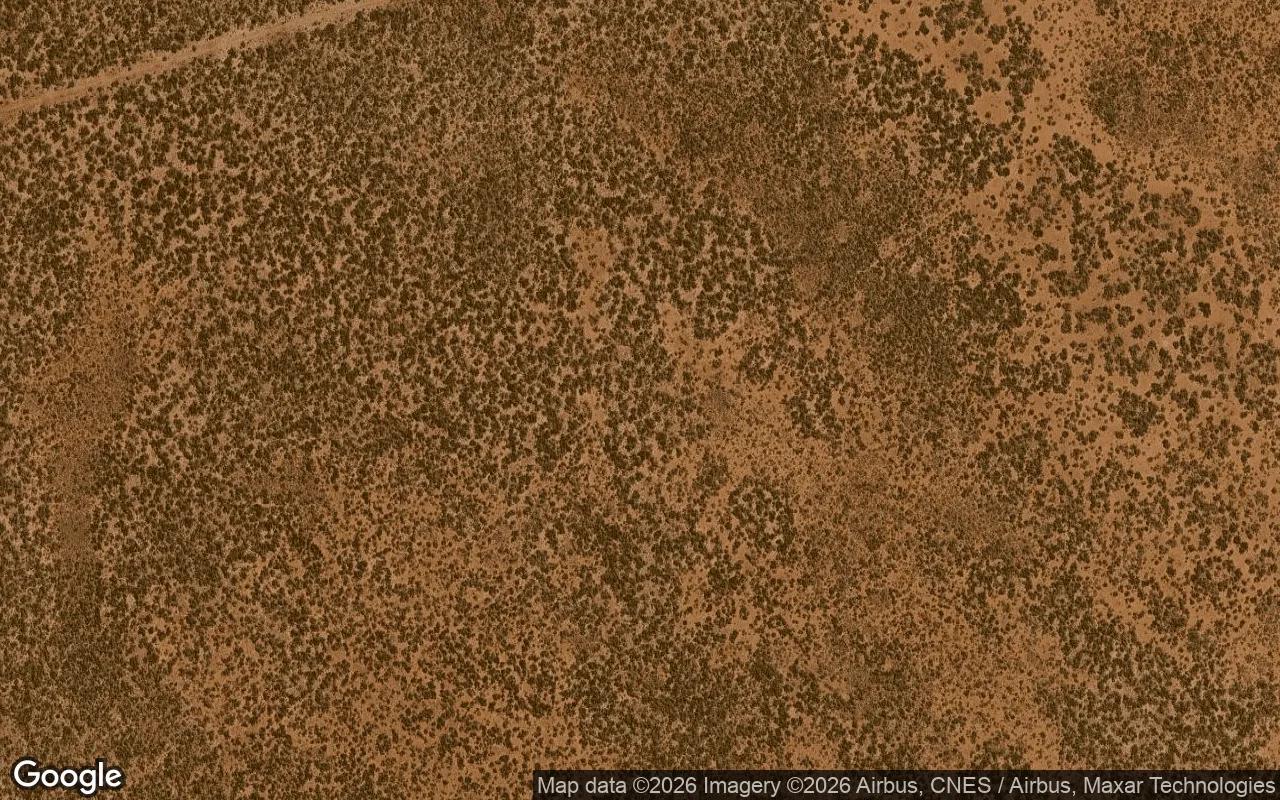 Decorative background for 628.9 Acres in Hebbronville - Jim Hogg County, TX image 6