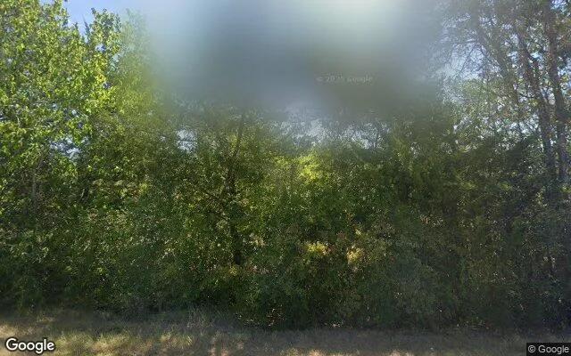 35.01 Acres in New Ulm - Colorado County, TX - Image 4