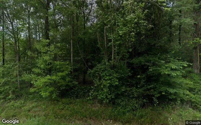 0.55 Acres in Shepherd - San Jacinto County, TX - Image 4