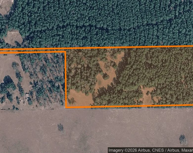 15.01 Acres in Colmesneil - Tyler County, TX in Tyler County, TX