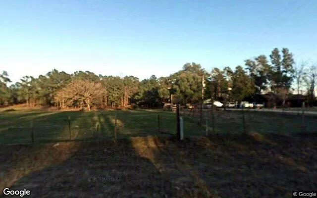 15.01 Acres in Colmesneil - Tyler County, TX - Image 4