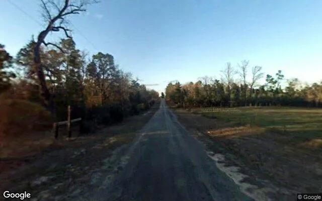 Decorative background for 15.01 Acres in Colmesneil - Tyler County, TX image 5