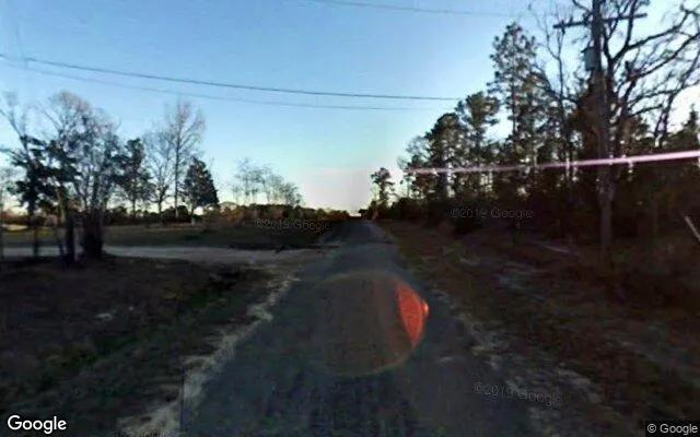 Decorative background for 15.01 Acres in Colmesneil - Tyler County, TX image 6