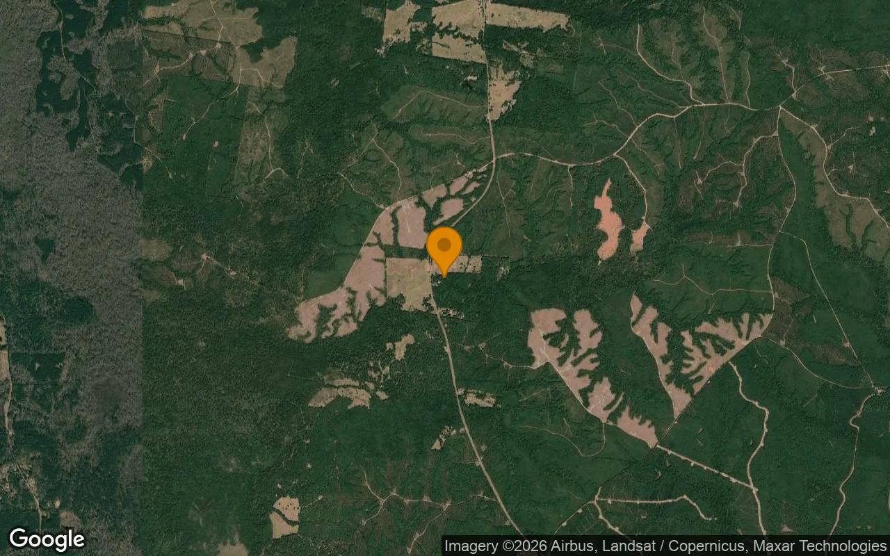 1.5 Acres in Bronson - San Augustine County, TX - Image 3