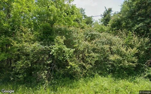 0.55 Acres in Kemp - Henderson County, TX in Henderson County, Texas