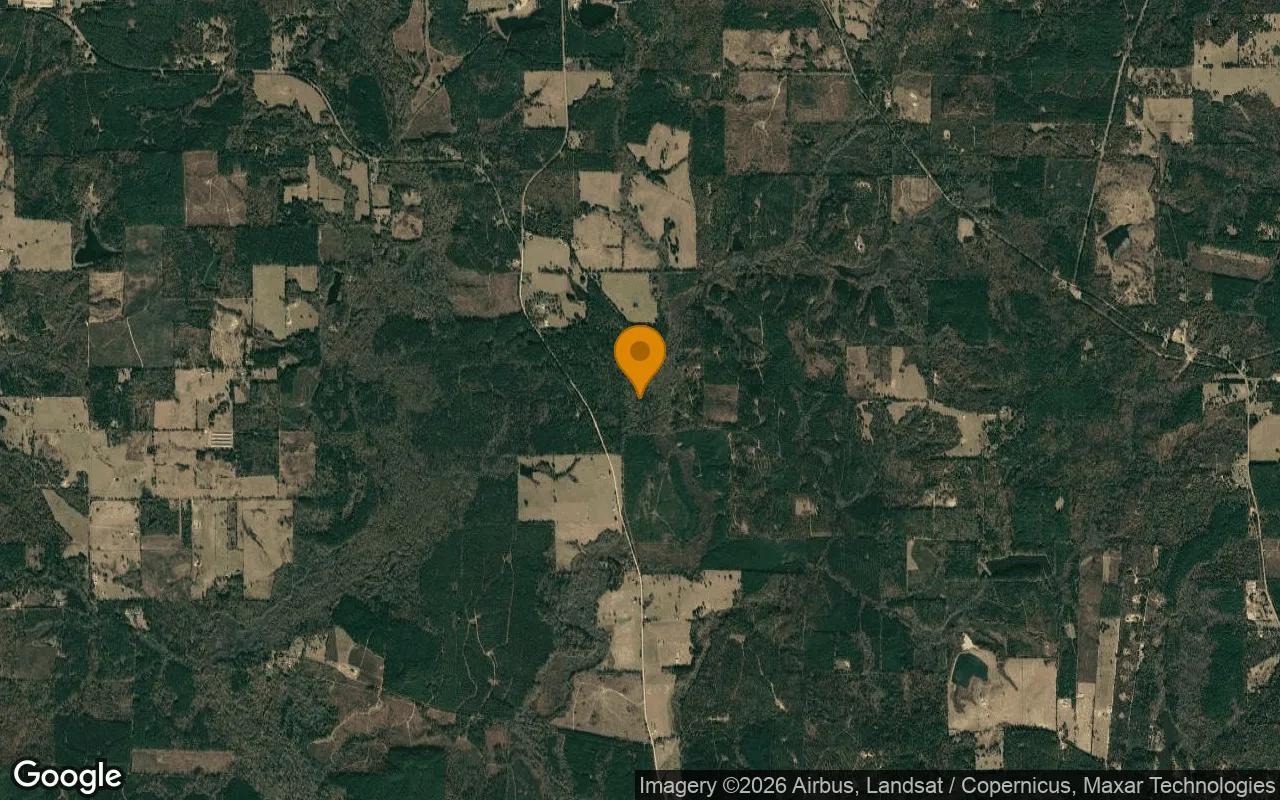 35.04 Acres in Linden - Cass County, TX - Image 3