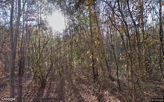 35.04 Acres in Linden - Cass County, TX - Image 4