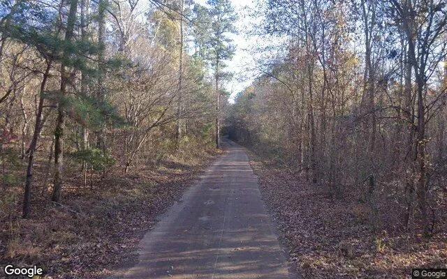Decorative background for 35.04 Acres in Linden - Cass County, TX image 5
