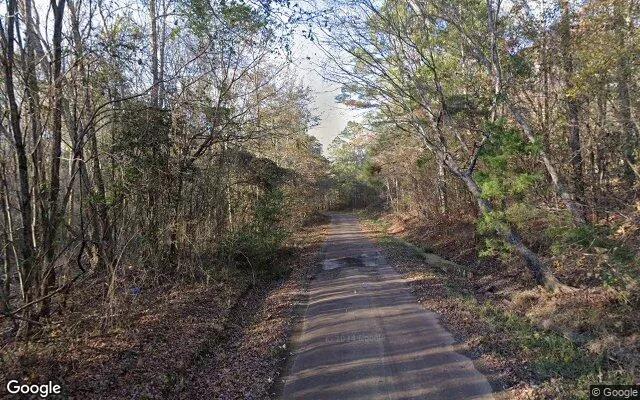 Decorative background for 35.04 Acres in Linden - Cass County, TX image 6
