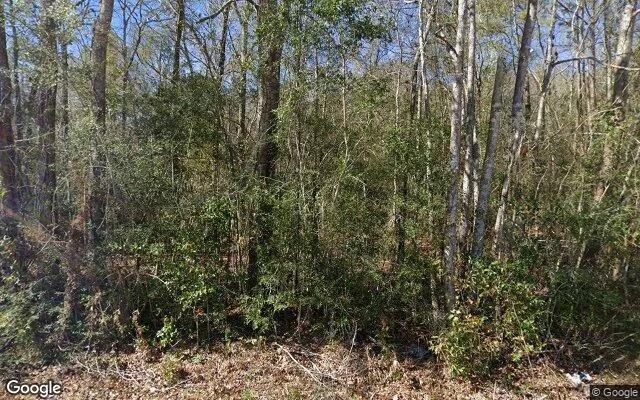 0.55 Acres in Kountze - Hardin County, TX - Image 4