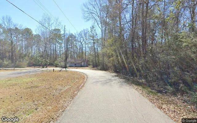 Decorative background for 0.55 Acres in Kountze - Hardin County, TX image 5