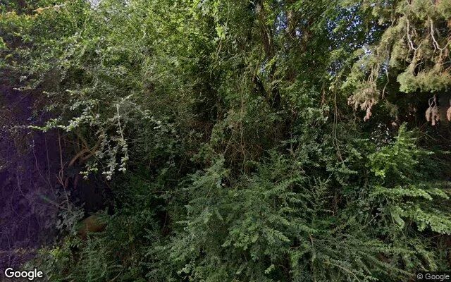 0.55 Acres in Alto - Cherokee County, TX in Cherokee County, Texas
